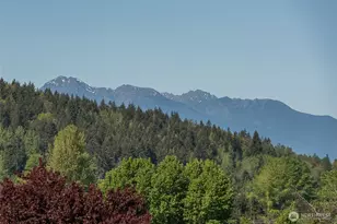 320 Morgison Loop, Sequim, WA 98382 - Photo 3