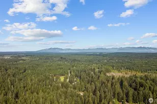 180 E Shetland Rd, Shelton, WA 98584 - Photo 29