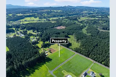0 McGlaughlin Road #(1), Winlock, WA 98596 - Photo 5
