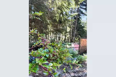 111 N Colony Surf Drive, Lilliwaup, WA 98555 - Photo 5