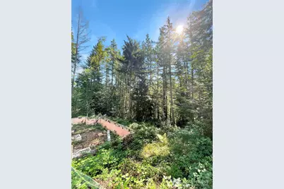 111 N Colony Surf Drive, Lilliwaup, WA 98555 - Photo 9