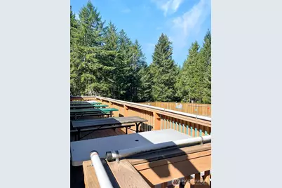 111 N Colony Surf Drive, Lilliwaup, WA 98555 - Photo 27