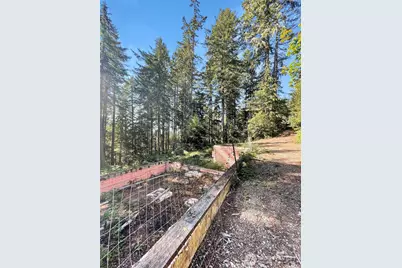 111 N Colony Surf Drive, Lilliwaup, WA 98555 - Photo 7