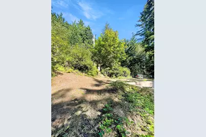 111 N Colony Surf Drive, Lilliwaup, WA 98555 - Photo 13