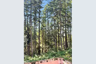 111 N Colony Surf Drive, Lilliwaup, WA 98555 - Photo 17