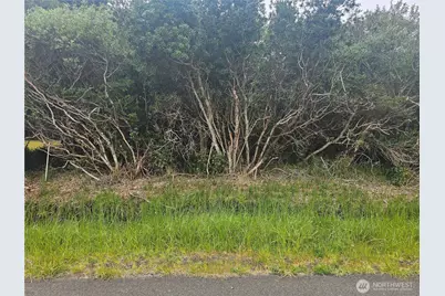 1051 Fariwood Drive SW, Ocean Shores, WA 98569 - Photo 1