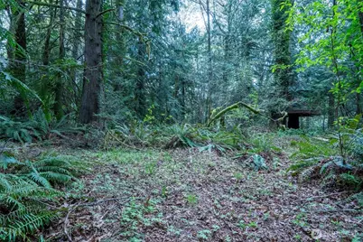 0 Reyonlds Road NW, Vaughn, WA 98394 - Photo 9