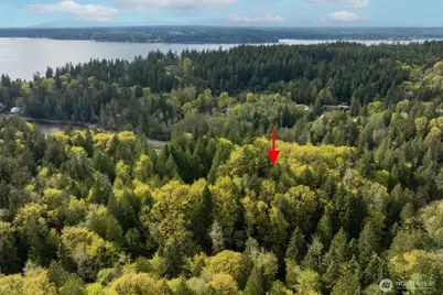 0 Reyonlds Road NW, Vaughn, WA 98394 - Photo 11