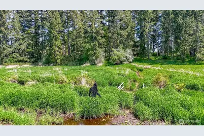 5708 315th Street Ct S, Roy, WA 98580 - Photo 35
