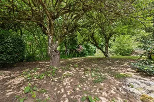 1213 Blvd Road NE, Olympia, WA 98501 - Photo 27