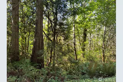 28897 X Highway 101, Quilcene, WA 98376 - Photo 21