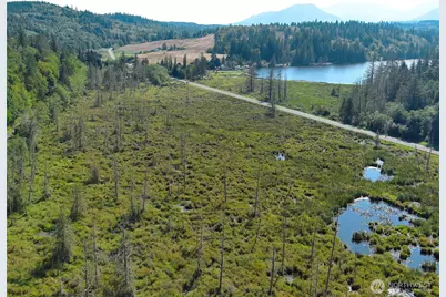 28897 X Highway 101, Quilcene, WA 98376 - Photo 17