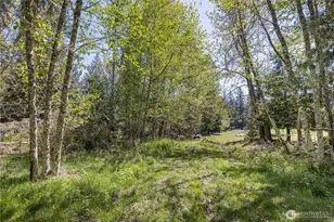 1344 Ripplebrook Dr, Port Angeles, WA 98362 - Photo 37
