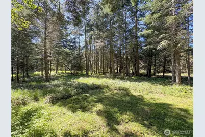392 Holgerson Road #Lot 3, Sequim, WA 98382 - Photo 11
