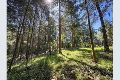 392 Holgerson Road #Lot 3, Sequim, WA 98382 - Photo 33