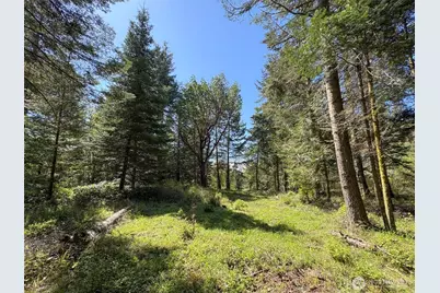 392 Holgerson Road #Lot 3, Sequim, WA 98382 - Photo 21