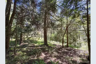 392 Holgerson Road #Lot 3, Sequim, WA 98382 - Photo 27