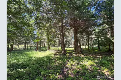 392 Holgerson Road #Lot 3, Sequim, WA 98382 - Photo 29