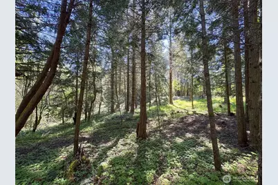 392 Holgerson Road #Lot 3, Sequim, WA 98382 - Photo 31