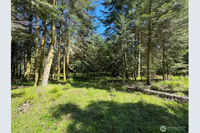 392 Holgerson Road #Lot 3, Sequim, WA 98382 - Photo 19