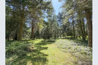 392 Holgerson Road #Lot 3, Sequim, WA 98382 - Photo 9