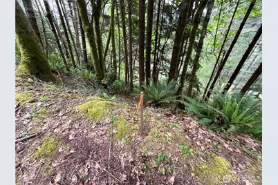 6 X N Colony Surf Drive, Lilliwaup, WA 98555 - Photo 13