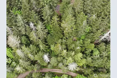 6 X N Colony Surf Drive, Lilliwaup, WA 98555 - Photo 19