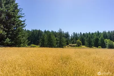 2783 Orcas Road, Orcas Island, WA 98245 - Photo 19