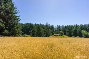 2783 Orcas Rd, Orcas Island, WA 98245 - Photo 19
