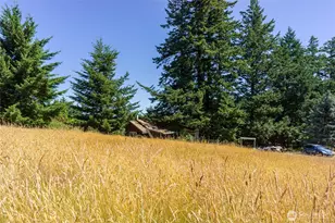 2783 Orcas Rd, Orcas Island, WA 98245 - Photo 17