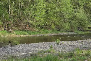 130 NE Evergreen Dr, Tahuya, WA 98588 - Photo 3