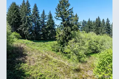 398 Byrd St, Centralia, WA 98531 - Photo 11