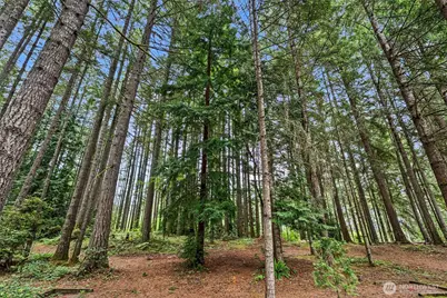 2415 SE Bielmeier Road, Port Orchard, WA 98367 - Photo 35