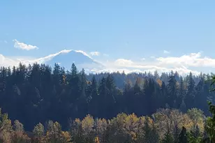 2540 Forest Ridge Dr SE, Auburn, WA 98002 - Photo 39