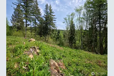 140 Skinner Road, Woodland, WA 98674 - Photo 13