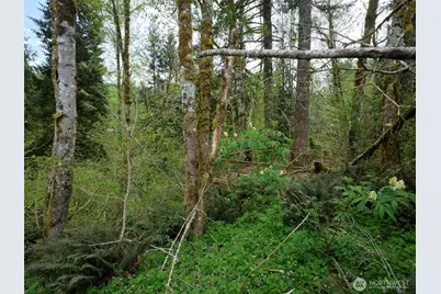 140 Skinner Road, Woodland, WA 98674 - Photo 15