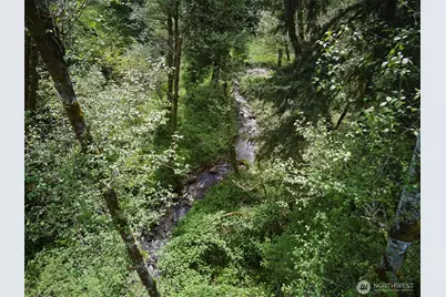 140 Skinner Road, Woodland, WA 98674 - Photo 1