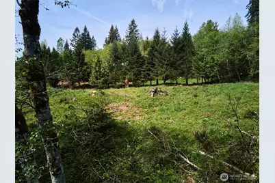 140 Skinner Road, Woodland, WA 98674 - Photo 25
