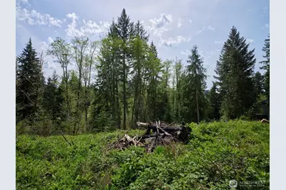 140 Skinner Road, Woodland, WA 98674 - Photo 9