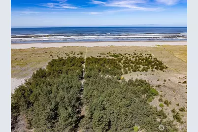 1100 212th Lane, Ocean Park, WA 98640 - Photo 1