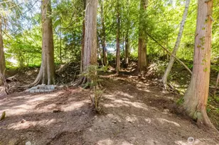 150 E Cedar St, Belfair, WA 98528 - Photo 33