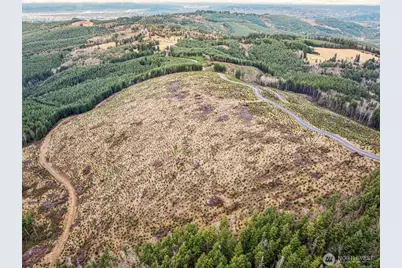 0 Lot 1 Mt Brynion Road, Kelso, WA 98632 - Photo 3