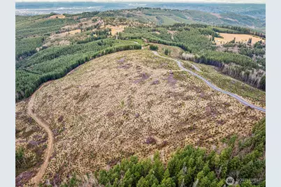 0 Lot 4 Hamilton Heights Road, Kelso, WA 98626 - Photo 9