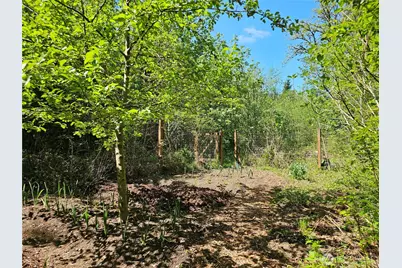 313 Larch Road, Quilcene, WA 98376 - Photo 19