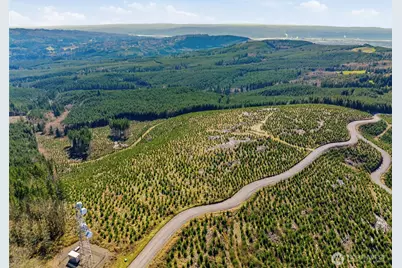 0 Lot 2 Mt Brynion Road, Kelso, WA 98626 - Photo 5