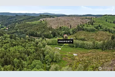 0 X Elk Creek Road, Raymond, WA 98577 - Photo 7