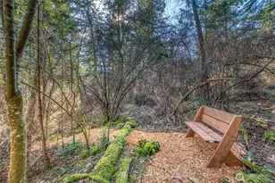70 Lot 5&29 Olga Park Ln, Orcas Island, WA 98279 - Photo 35