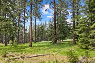 261 Maple Leaf Loop, Cle Elum, WA 98922 - Photo 9