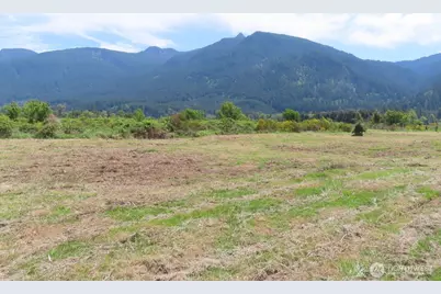 295 River Ranch Road, Randle, WA 98377 - Photo 9