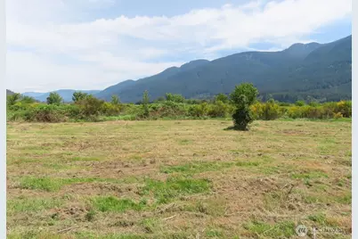 295 River Ranch Road, Randle, WA 98377 - Photo 3